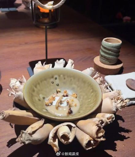 大象粑粑做甜品餐厅被立案调查 已停止经营