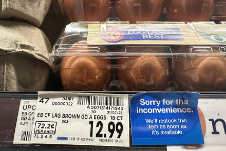 美国成巴西鸡蛋最大外国买家