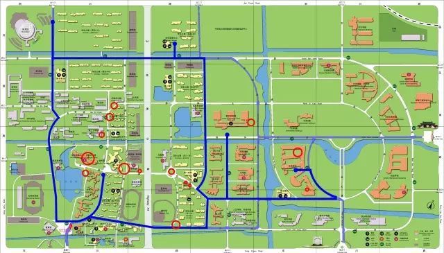 石楠花味道太大同学建议修剪,上海交大为何说“希望原谅它的气味” 石楠花味道太大同学建议修剪,上海交大为何说“希望原谅它的气味”