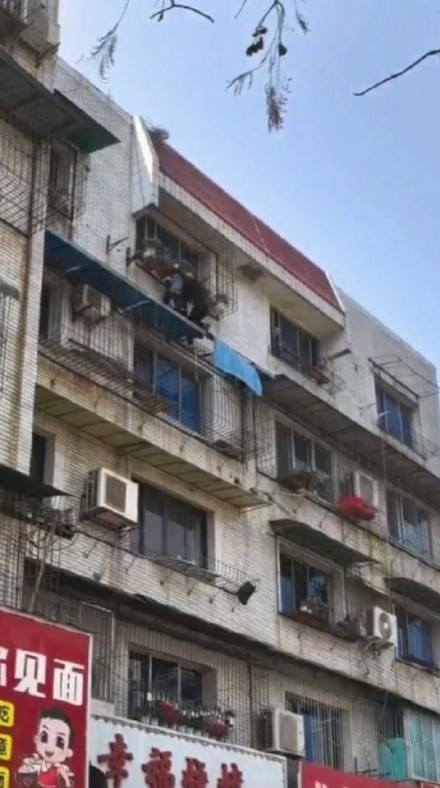 这不是他第一次救人!重庆“托举哥”李云:遇到紧急情况肯定要出手 这不是他第一次救人!重庆“托举哥”李云:遇到紧急情况肯定要出手