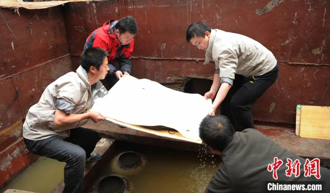 失传“扁鹊医书”，这样重见天日