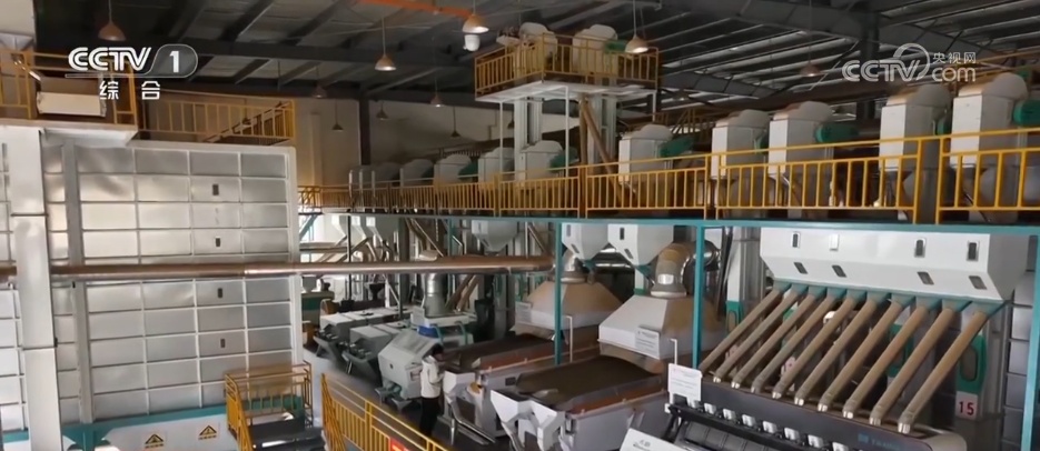 从“小粒”变“大咖” 看一杯咖啡里升腾的经济新活力 从“小粒”变“大咖” 看一杯咖啡里升腾的经济新活力