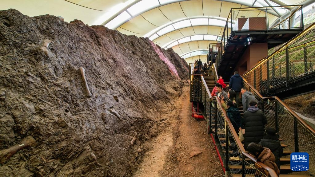 重庆云阳世界地质公园正式获批