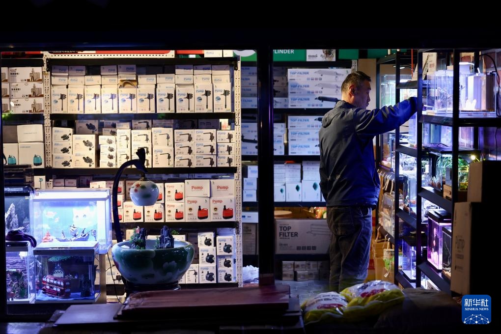 辽宁鞍山：打造观赏鱼产业集散地