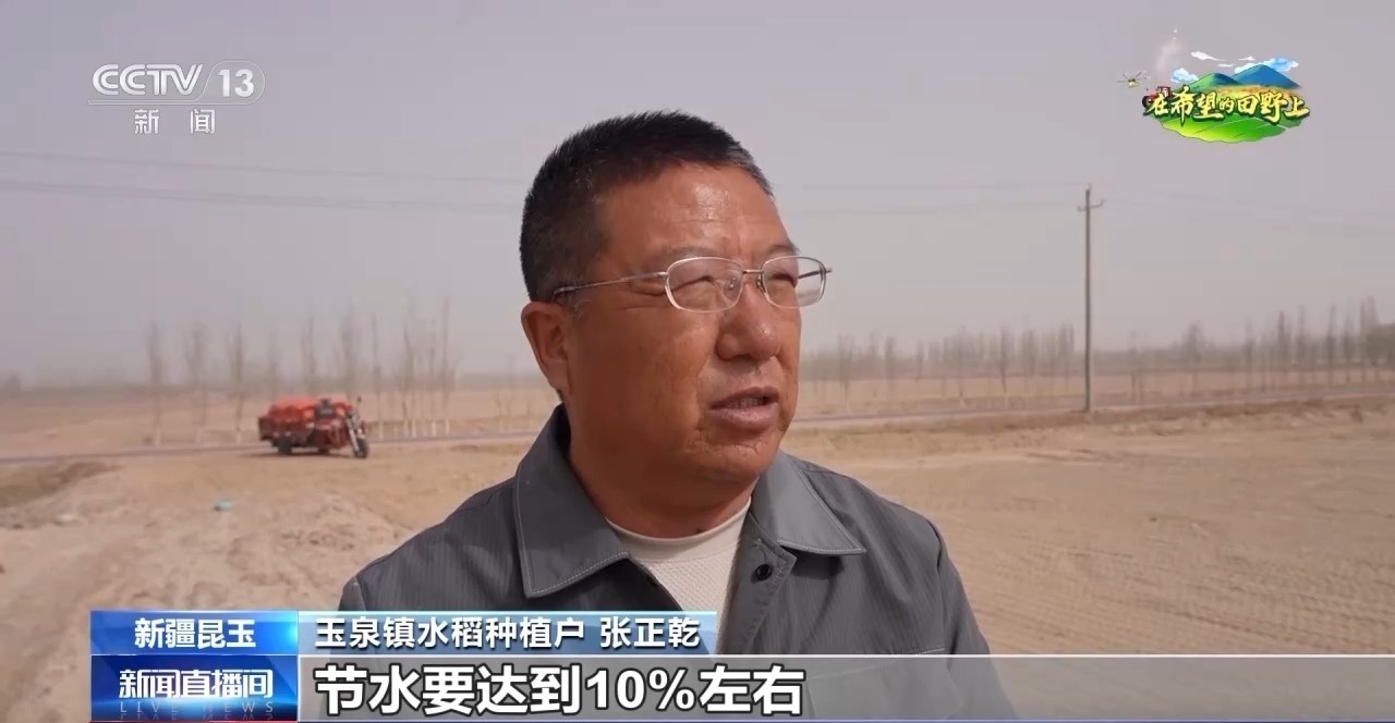 沙漠里也能种水稻？揭秘沙漠旱地播种技术