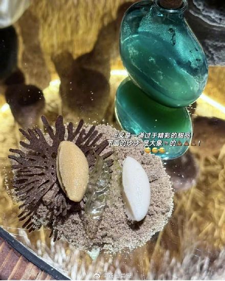 大象粑粑做甜品餐厅被立案调查 已停止经营