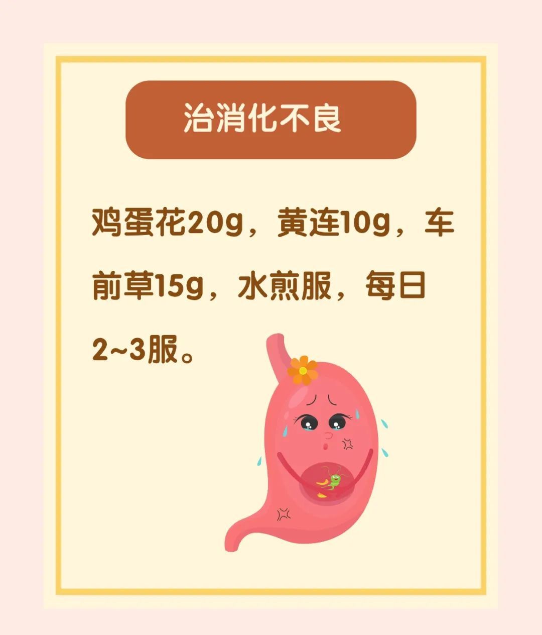 清热、止咳......鸡蛋花常用验方很实用！