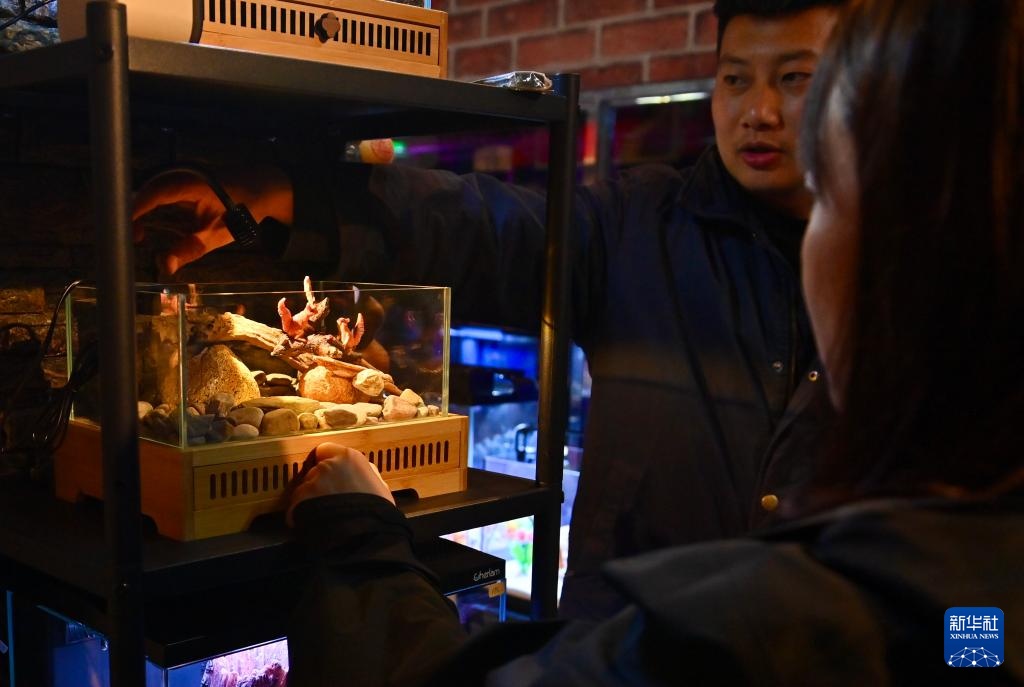 辽宁鞍山：打造观赏鱼产业集散地