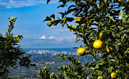 在成都实现看雪山自由 在成都实现看雪山自由