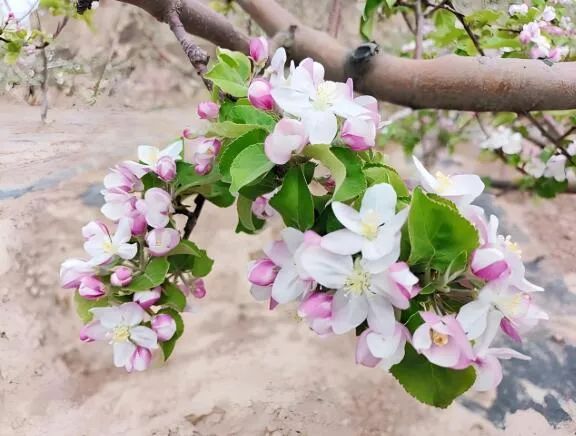 大风即将抵达!山西多部门紧急应对!个人居家如何防护?重要提示→ 大风即将抵达!山西多部门紧急应对!个人居家如何防护?重要提示→