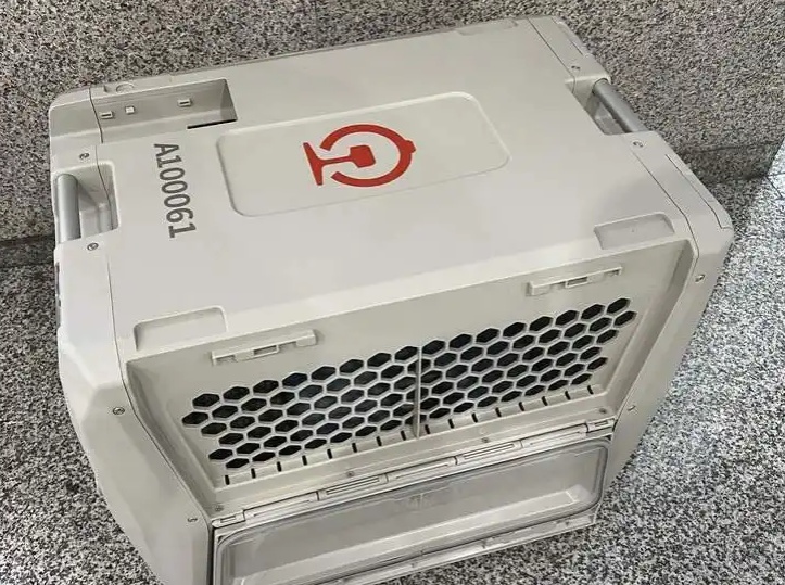 高铁宠物票价约为成人票2倍 有人更期待人宠同车厢 高铁宠物票价约为成人票2倍 有人更期待人宠同车厢