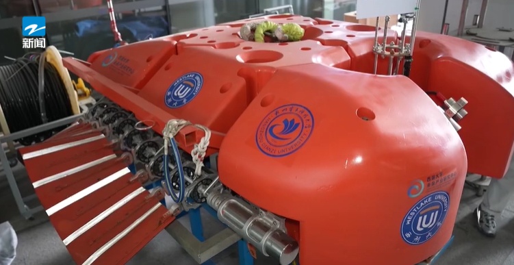 巨大突破!西湖大学研发的“仿生鱼”来了 巨大突破!西湖大学研发的“仿生鱼”来了