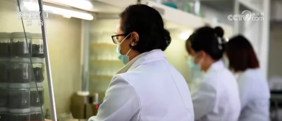 从“小粒”变“大咖” 看一杯咖啡里升腾的经济新活力 从“小粒”变“大咖” 看一杯咖啡里升腾的经济新活力