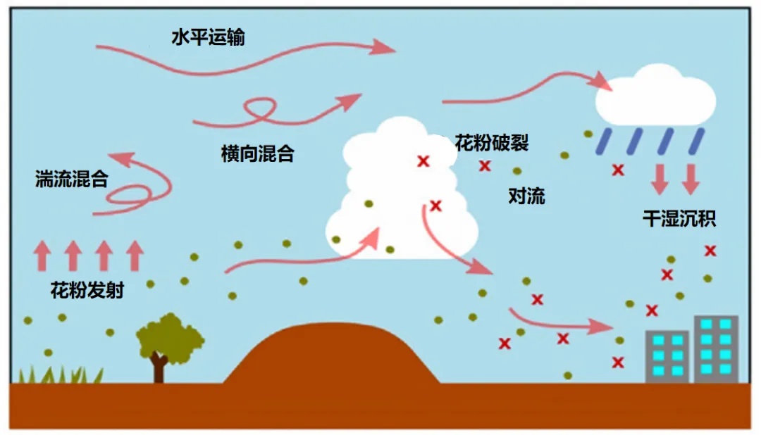 雷暴哮喘！昨夜那场惊雷之后，重庆多人集中发病