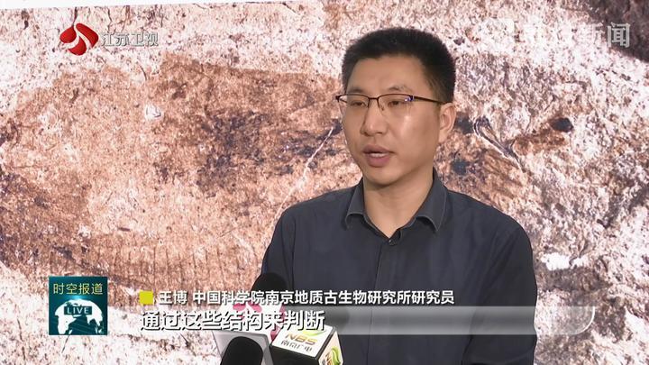 填补空白！这枚1.6亿年前化石揭示棘头虫起源之谜