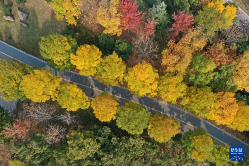 李现带来“观鸟热”,北京的生态含金量还在上升! 李现带来“观鸟热”,北京的生态含金量还在上升!