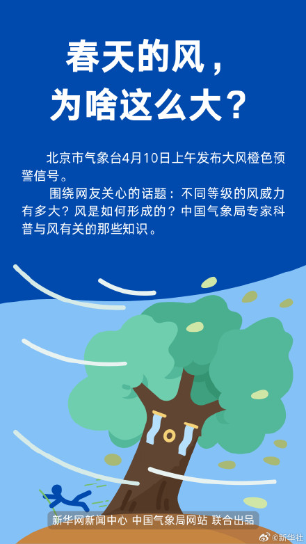大风黄色预警要注意什么? 大风黄色预警要注意什么?