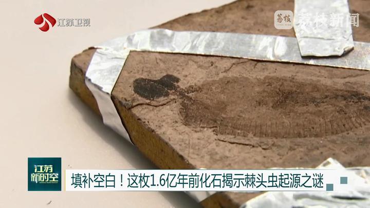 填补空白！这枚1.6亿年前化石揭示棘头虫起源之谜