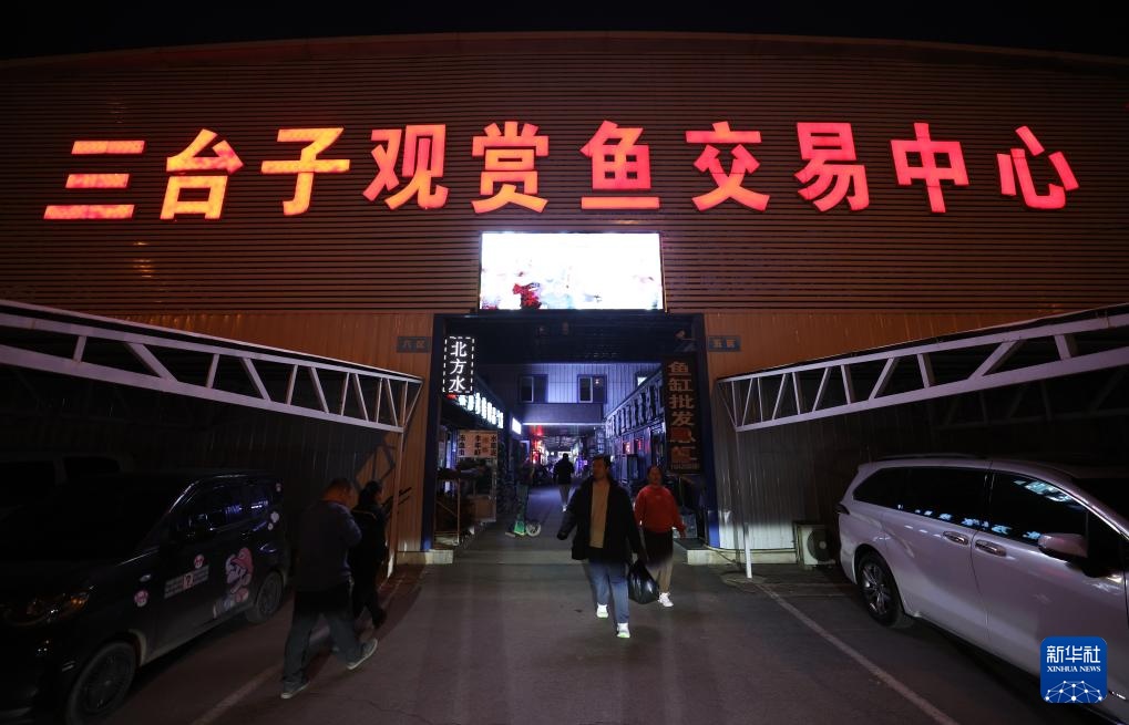 辽宁鞍山：打造观赏鱼产业集散地