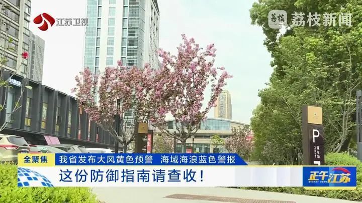 这份防御指南请查收!江苏发布大风黄色预警、海域海浪蓝色警报 这份防御指南请查收!江苏发布大风黄色预警、海域海浪蓝色警报
