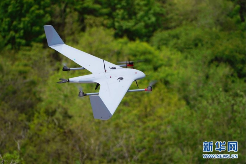 李现带来“观鸟热”,北京的生态含金量还在上升! 李现带来“观鸟热”,北京的生态含金量还在上升!