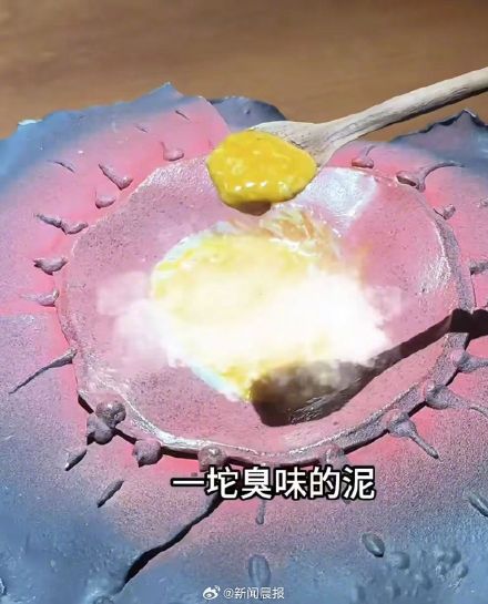 大象粑粑做甜品餐厅被立案调查 已停止经营