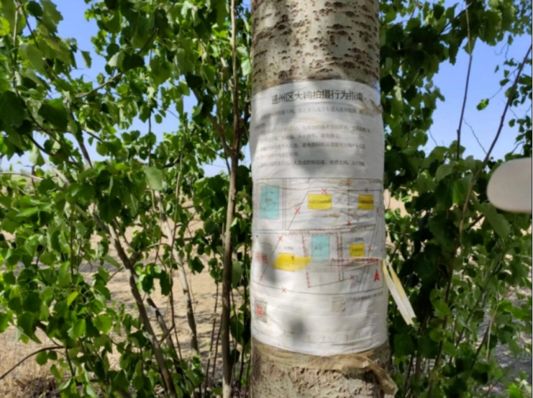 李现带来“观鸟热”,北京的生态含金量还在上升! 李现带来“观鸟热”,北京的生态含金量还在上升!