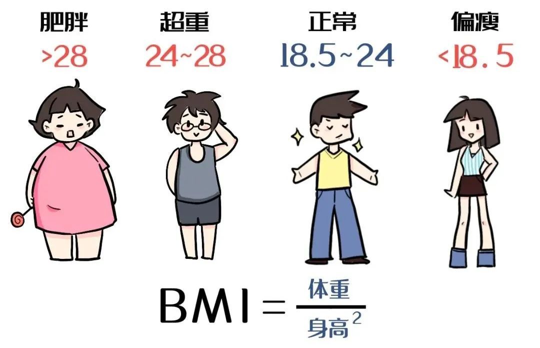 包瘦的！你与脂肪的“恩怨”有了新解法→