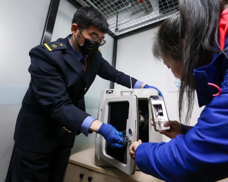 首趟宠物托运高铁列车，到站啦！车票多少钱？