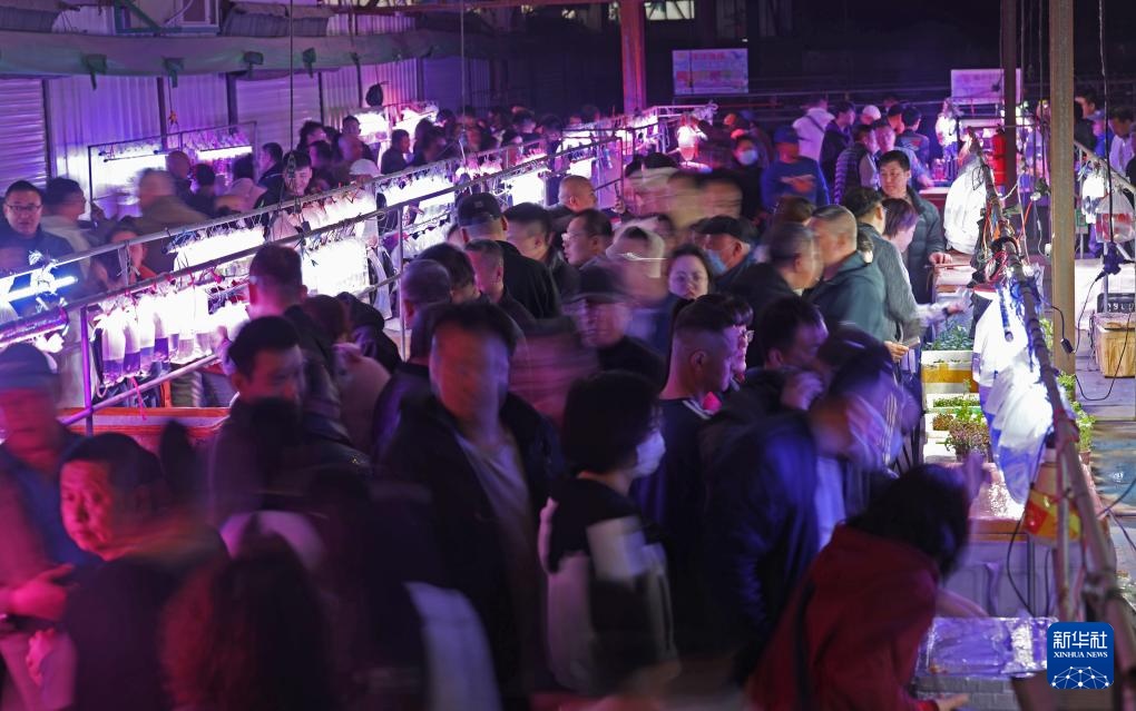 辽宁鞍山：打造观赏鱼产业集散地