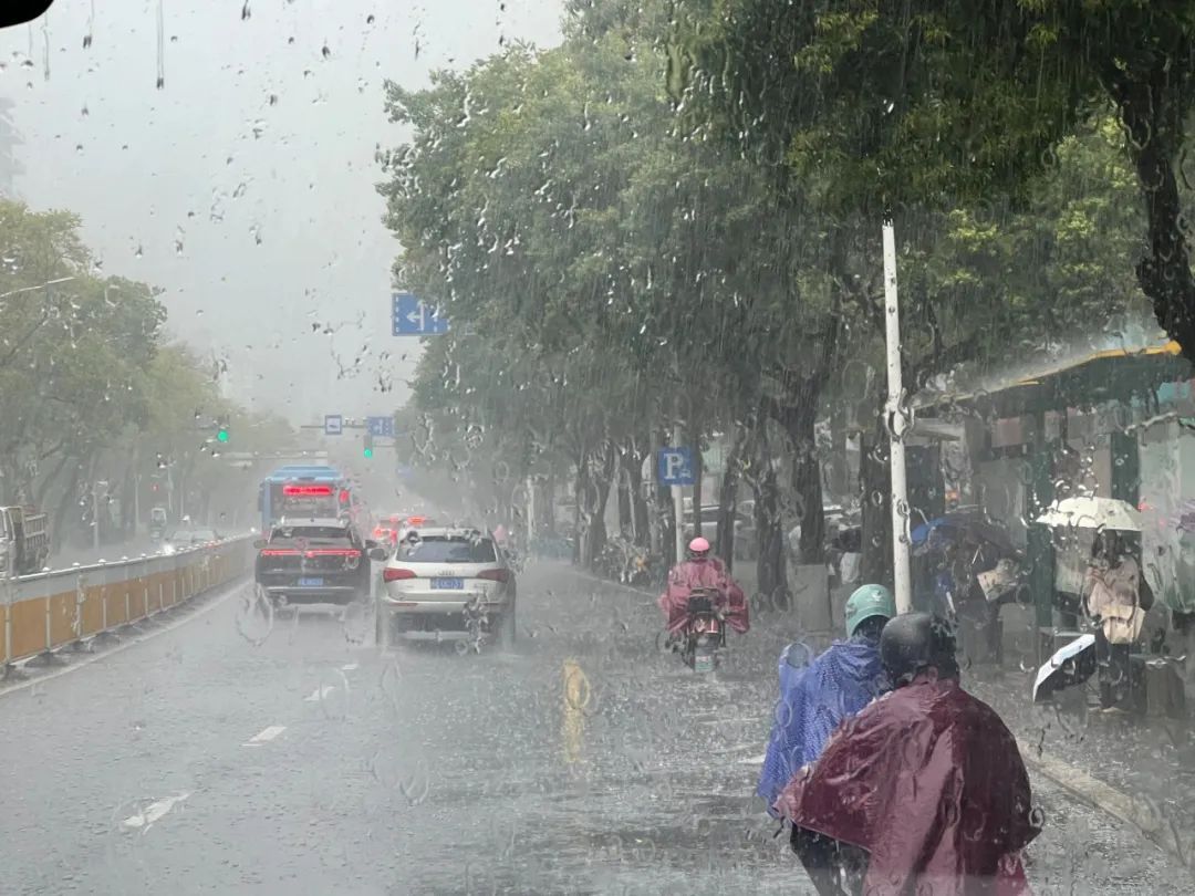 暴雨+大风+强对流!福州启动应急响应! 暴雨+大风+强对流!福州启动应急响应!