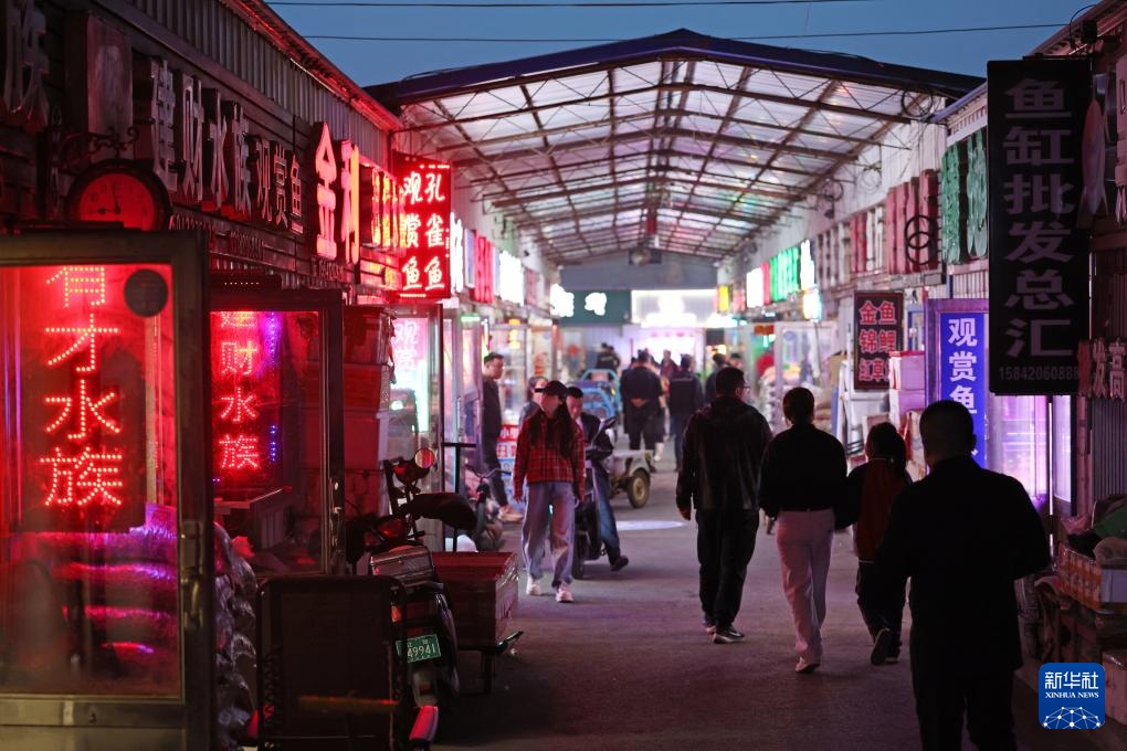 辽宁鞍山：打造观赏鱼产业集散地