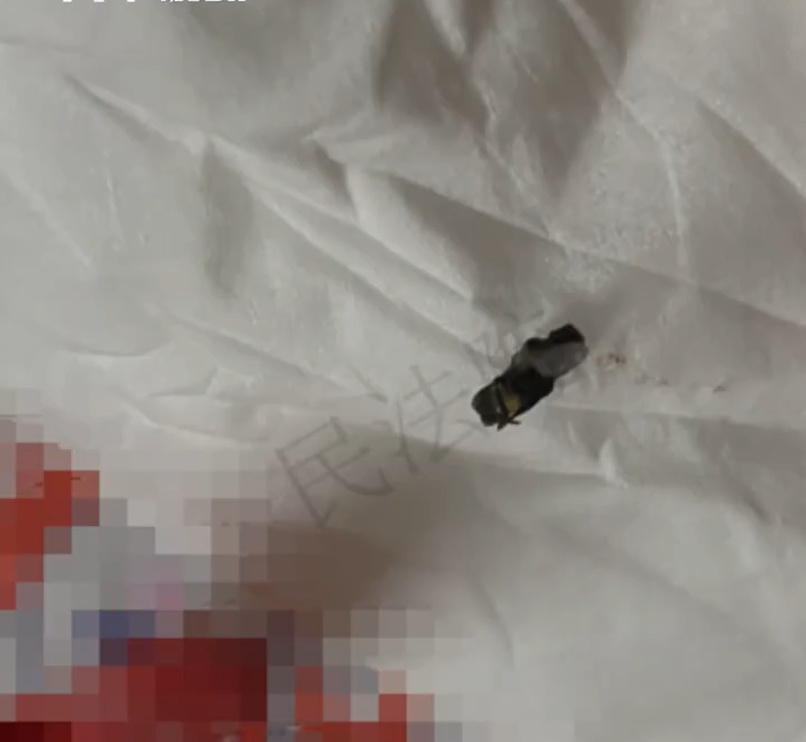 广东女子奶茶里喝出死苍蝇，商家辩称因天气湿热仅可退款，法院：赔偿1000元
