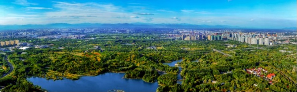 李现带来“观鸟热”,北京的生态含金量还在上升! 李现带来“观鸟热”,北京的生态含金量还在上升!