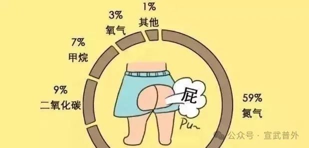 憋回去的屁去哪儿了？
