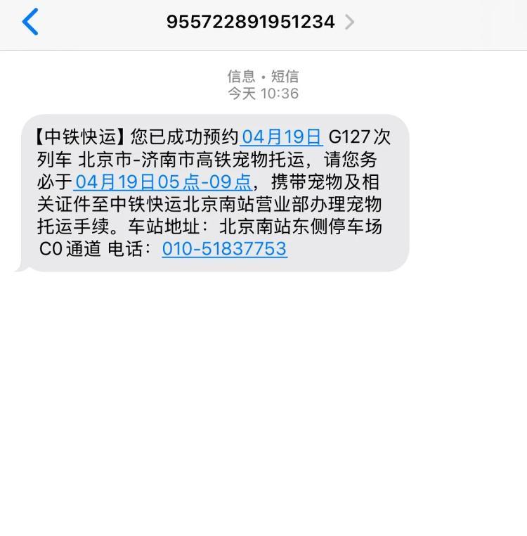 高铁宠物票价约为成人票2倍 有人更期待人宠同车厢 高铁宠物票价约为成人票2倍 有人更期待人宠同车厢