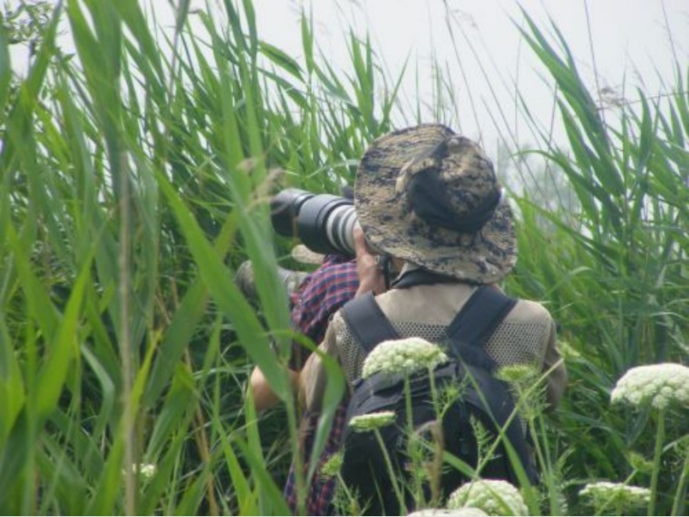 李现带来“观鸟热”,北京的生态含金量还在上升! 李现带来“观鸟热”,北京的生态含金量还在上升!