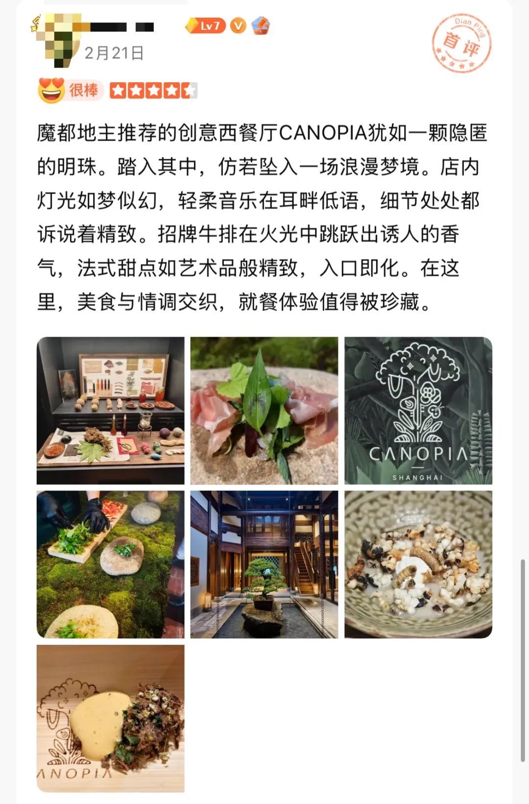 太抽象！上海人均3888元餐厅，给客人吃大象粪便和蚂蚁！官方出手：已被立案调查