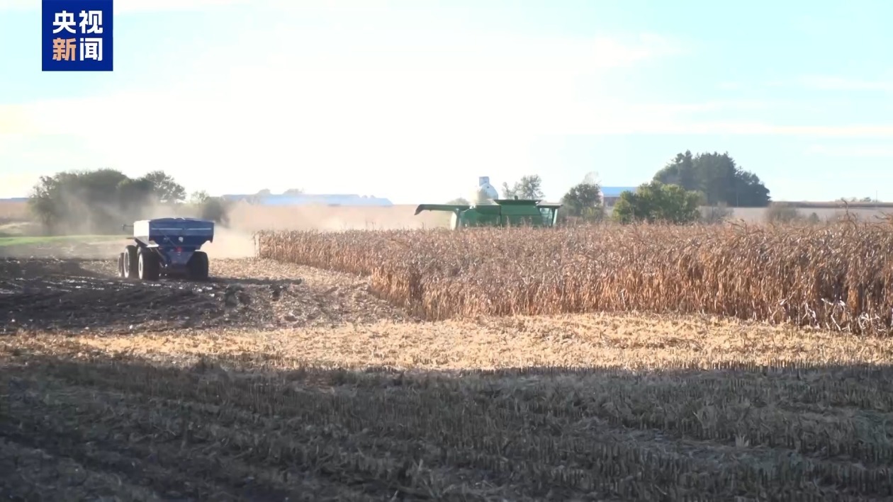 美国滥施关税波及本国农业 涉多个特朗普票仓地区 美国滥施关税波及本国农业 涉多个特朗普票仓地区