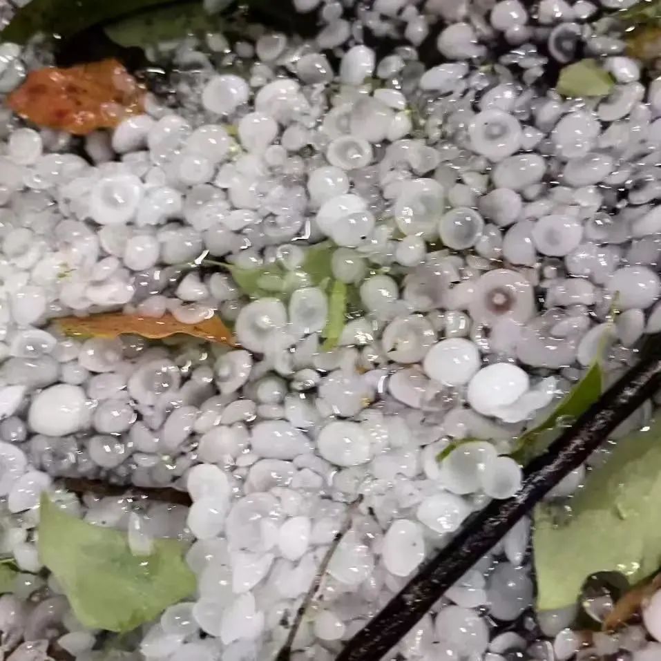 景区关闭、航线停航!福建多地预警连发!今天要出门的注意了! 景区关闭、航线停航!福建多地预警连发!今天要出门的注意了!