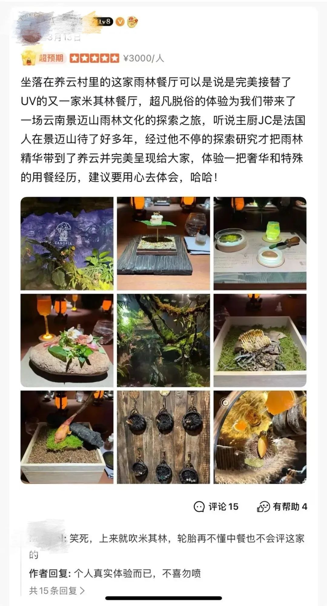 人均3888元的餐厅：吃盆栽叶子和大象粪便做的甜品？