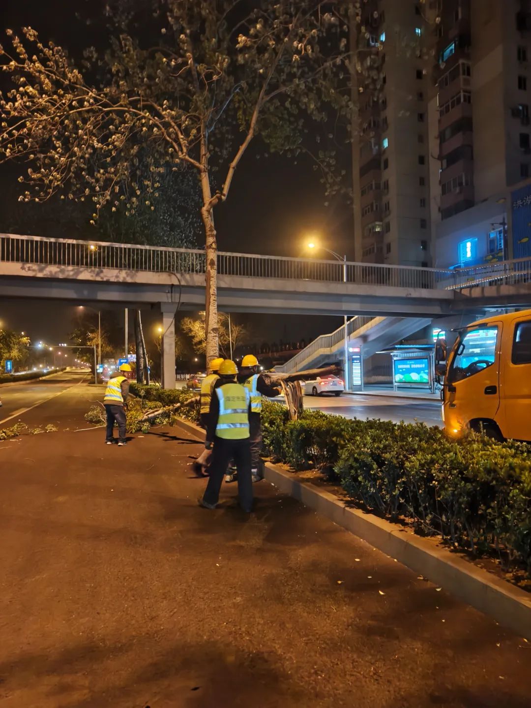 北京13个区出现10级以上阵风！倒了400多棵树，还有车辆被砸，厂房屋顶被吹翻