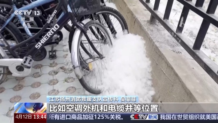 又到飞絮期 警惕身边的“白色火患” 又到飞絮期 警惕身边的“白色火患”