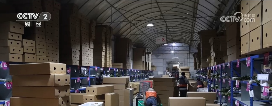 串联电商、直播、物流……小花朵撬动大市场 “美丽经济”激发消费新动能 串联电商、直播、物流……小花朵撬动大市场 “美丽经济”激发消费新动能