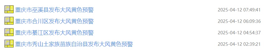 阵风9级以上！重庆多区县发布大风黄色预警