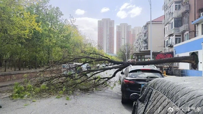 天津出现14级大风，破历史极值