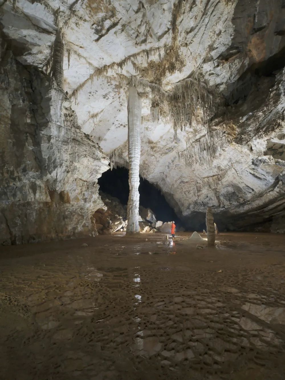罕见!贵州发现4.8亿年“地下水晶宫” 罕见!贵州发现4.8亿年“地下水晶宫”
