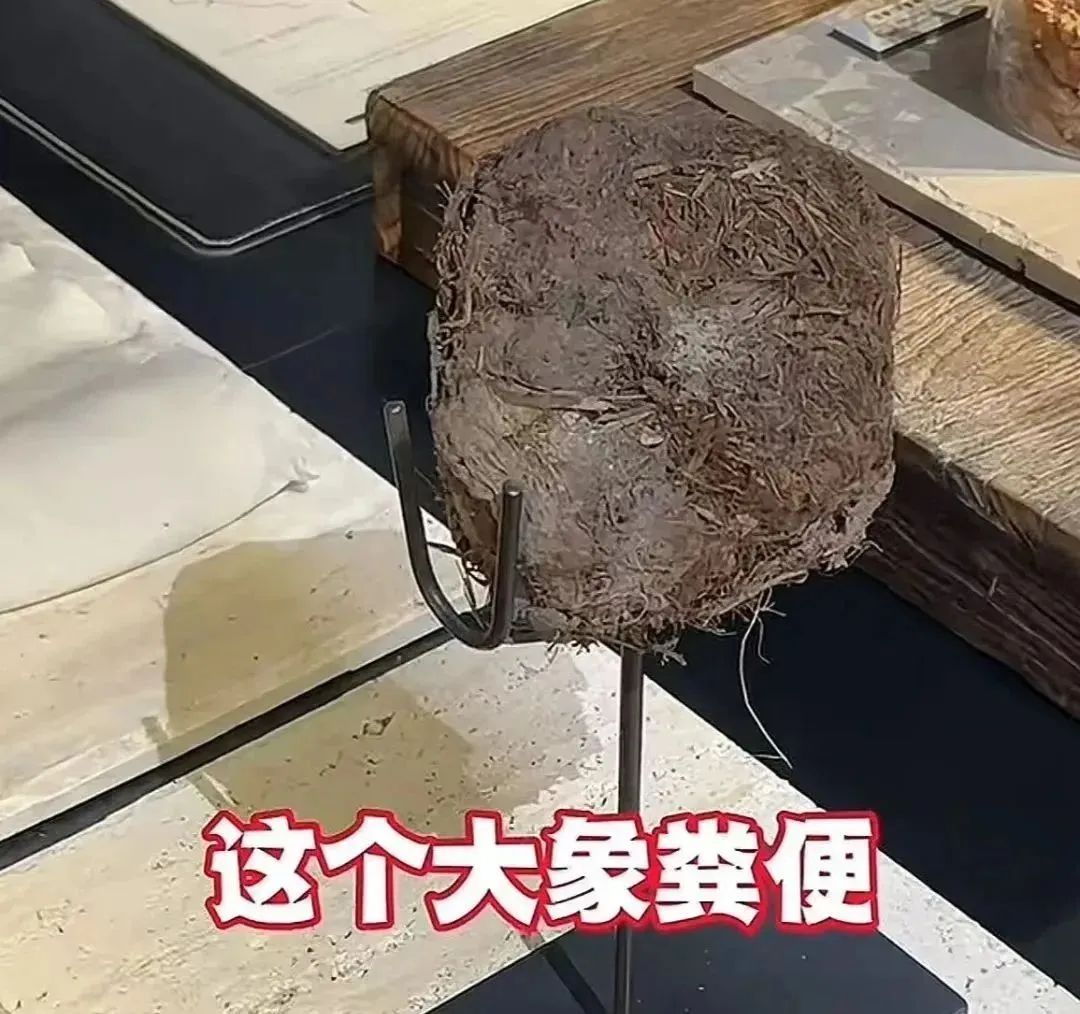 人均3888元的餐厅：吃盆栽叶子和大象粪便做的甜品？