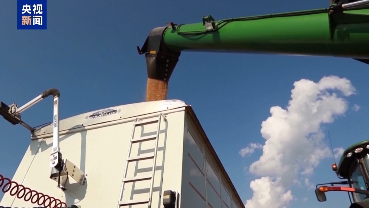 美国滥施关税波及本国农业 涉多个特朗普票仓地区 美国滥施关税波及本国农业 涉多个特朗普票仓地区