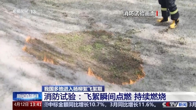 又到飞絮期 警惕身边的“白色火患” 又到飞絮期 警惕身边的“白色火患”